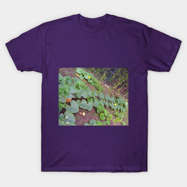 Pumpkin Blossom Foliage & Fruit T-Shirt by Hajarsdeco